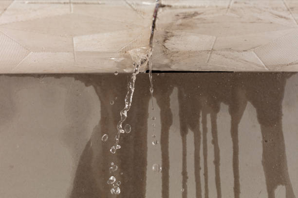 Professional Water Damage Repair technician working in Wrightstown, WI